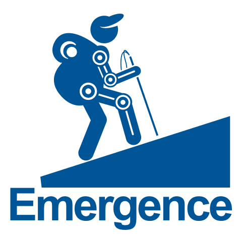 EMERGENCE EPSRC Logo